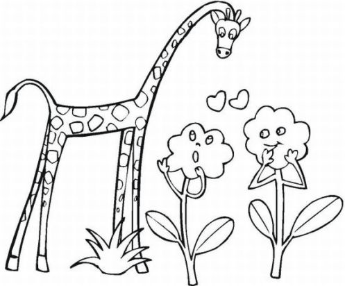 Animals Coloring in Pages 12