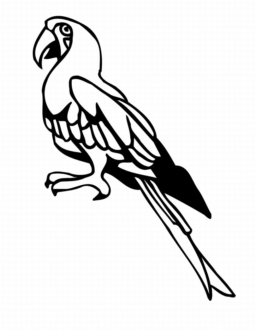 Bird Coloring in Pages 1