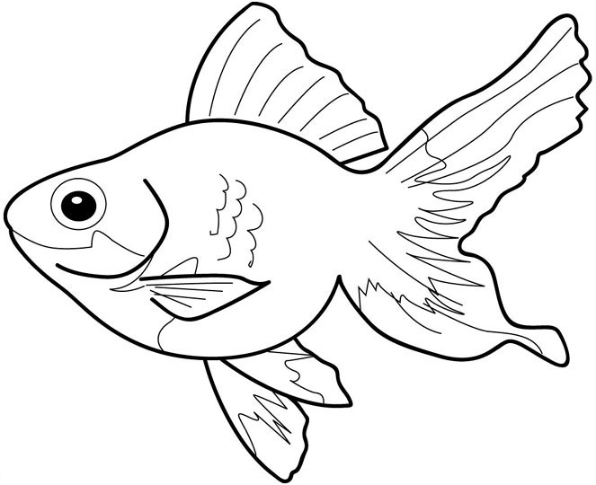 Fish Coloring in Pages 10