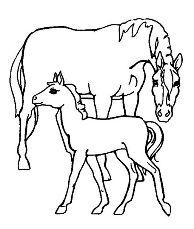 Horse Coloring in Pages 1