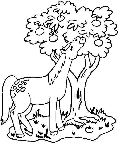 Horse Coloring in Pages 4