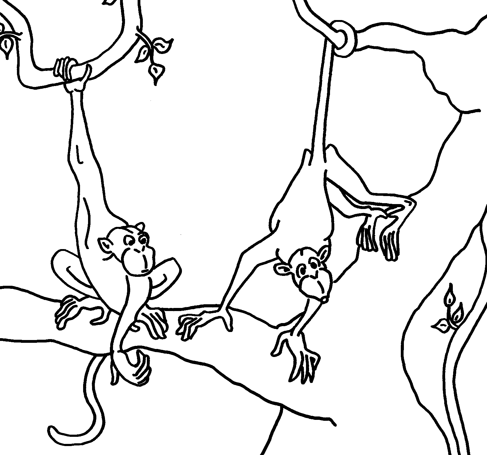 Monkey Coloring in Pages 1