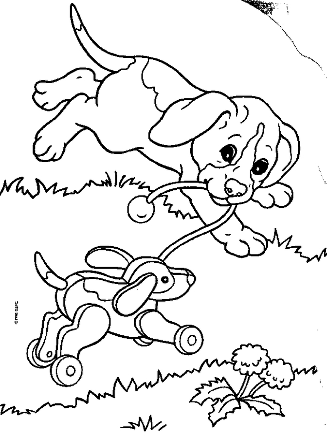 Animals Coloring in Pages 8