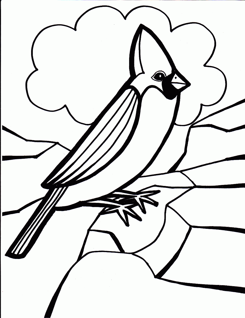 Bird Coloring in Pages 4