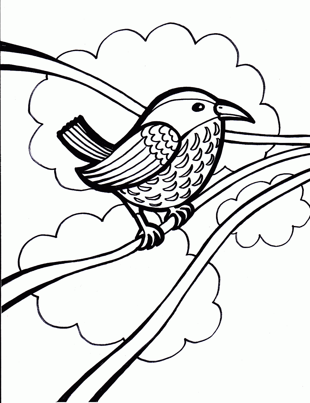 Bird Coloring in Pages 6
