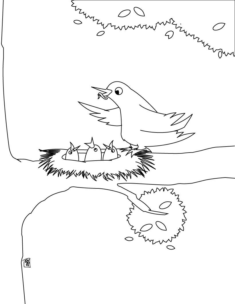 Bird Coloring in Pages 7