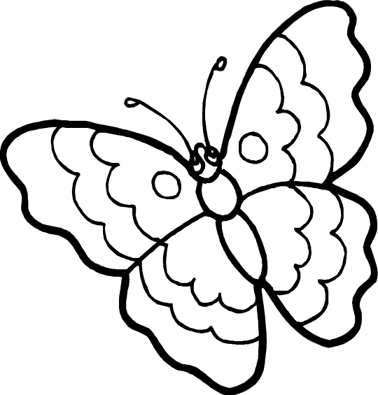 Butterfly Coloring in Pages 12
