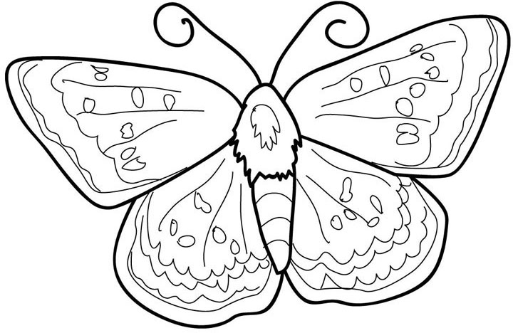 Butterfly Coloring in Pages 3