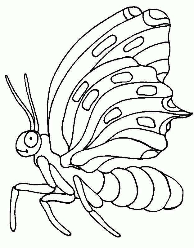 Butterfly Coloring in Pages 5