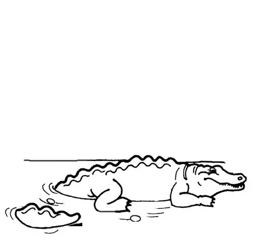 Crocodile Coloring in Pages 1