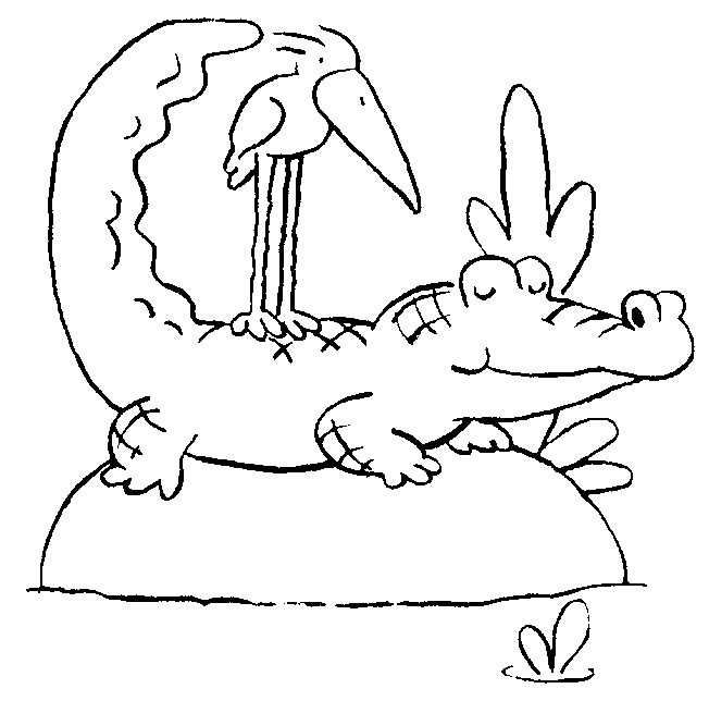 Crocodile Coloring in Pages 7