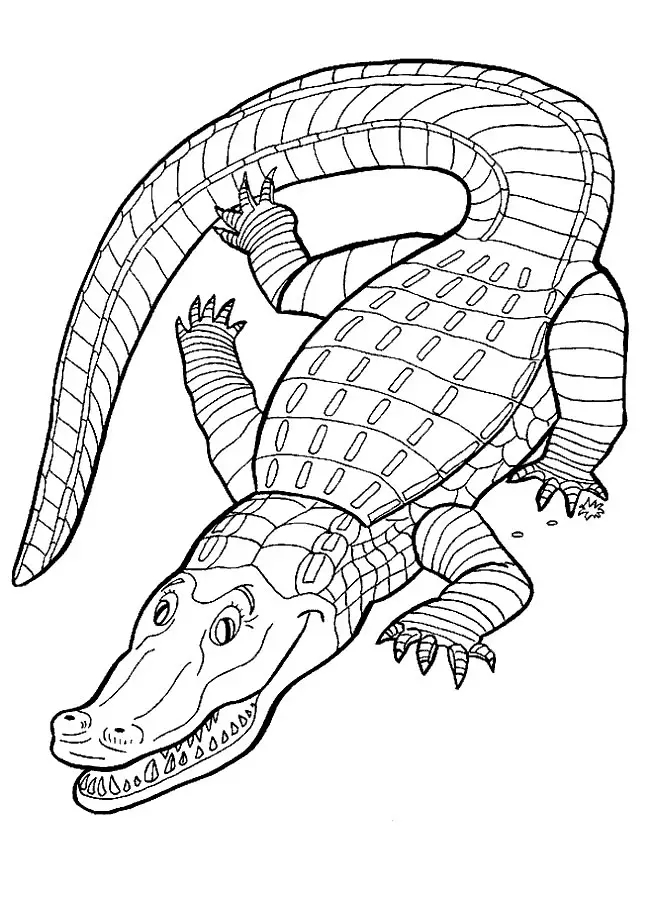 Crocodile Coloring in Pages 11