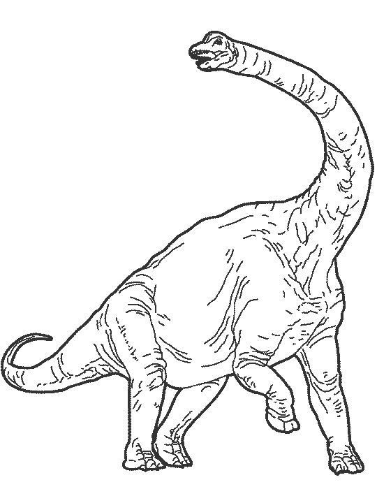 Dinosaur Coloring in Pages 11