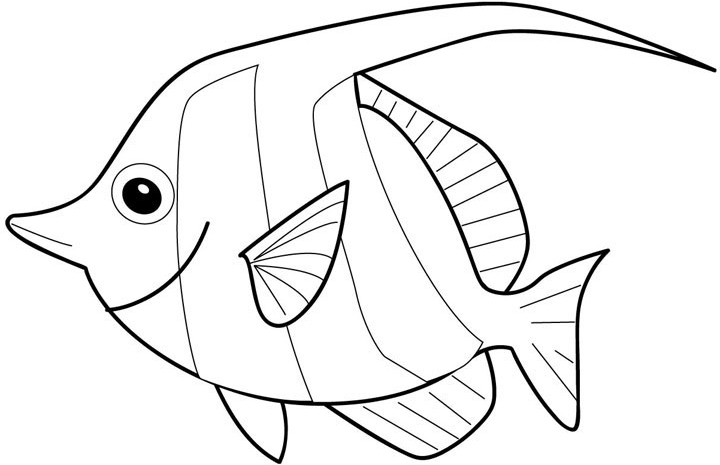 Fish Coloring in Pages 11