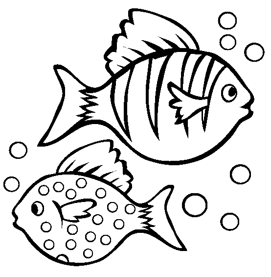 Fish Coloring in Pages 2