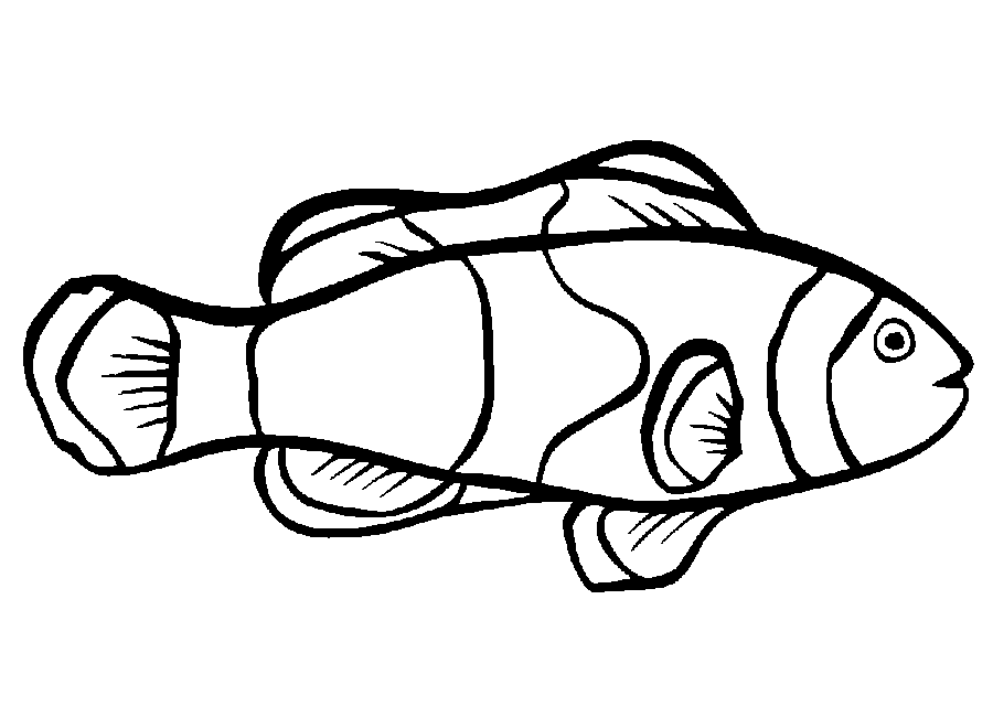 Fish Coloring in Pages 8