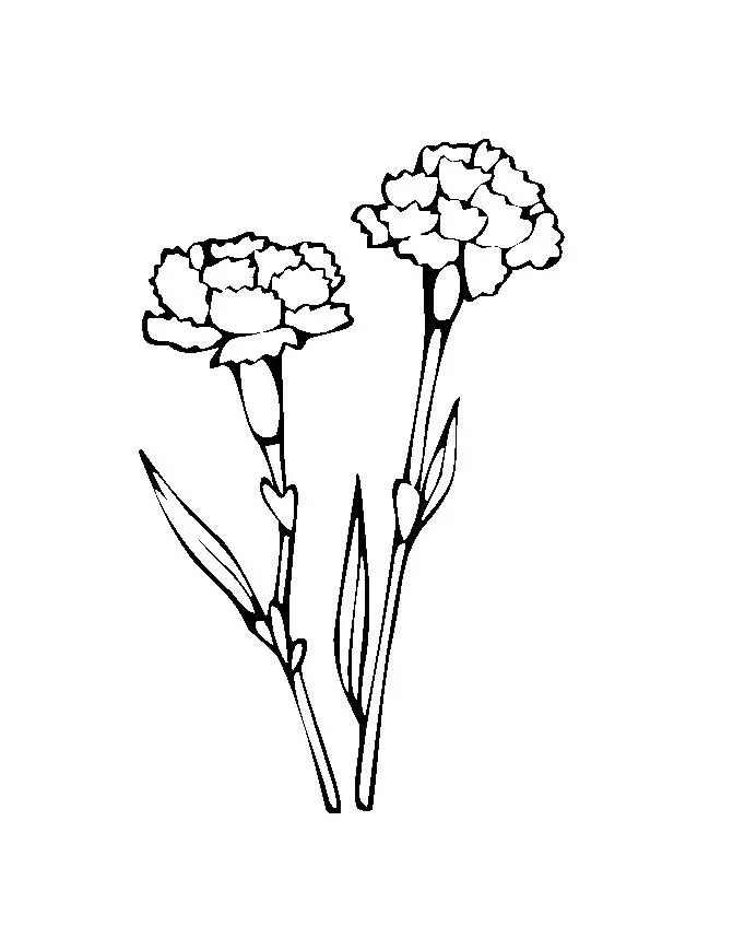 Flower Coloring in Pages 6