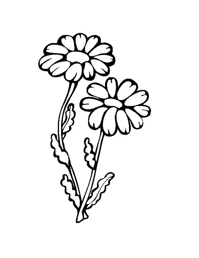 Flower Coloring in Pages 7