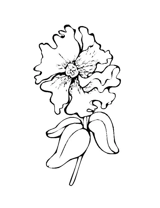 Flower Coloring in Pages 10
