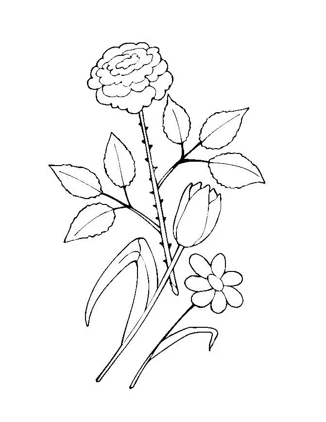 Flower Coloring in Pages 12