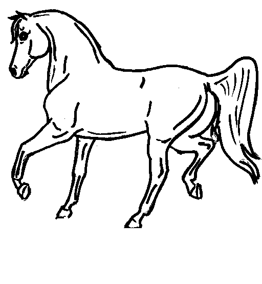 Horse Coloring in Pages 2