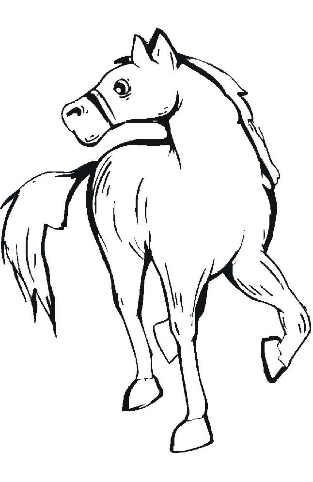 Horse Coloring in Pages 5