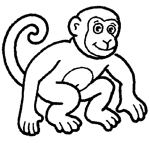 Monkey Coloring in Pages 12