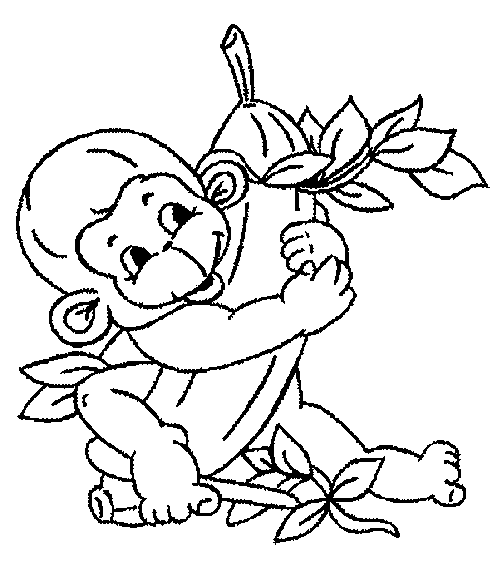 Monkey Coloring in Pages 6