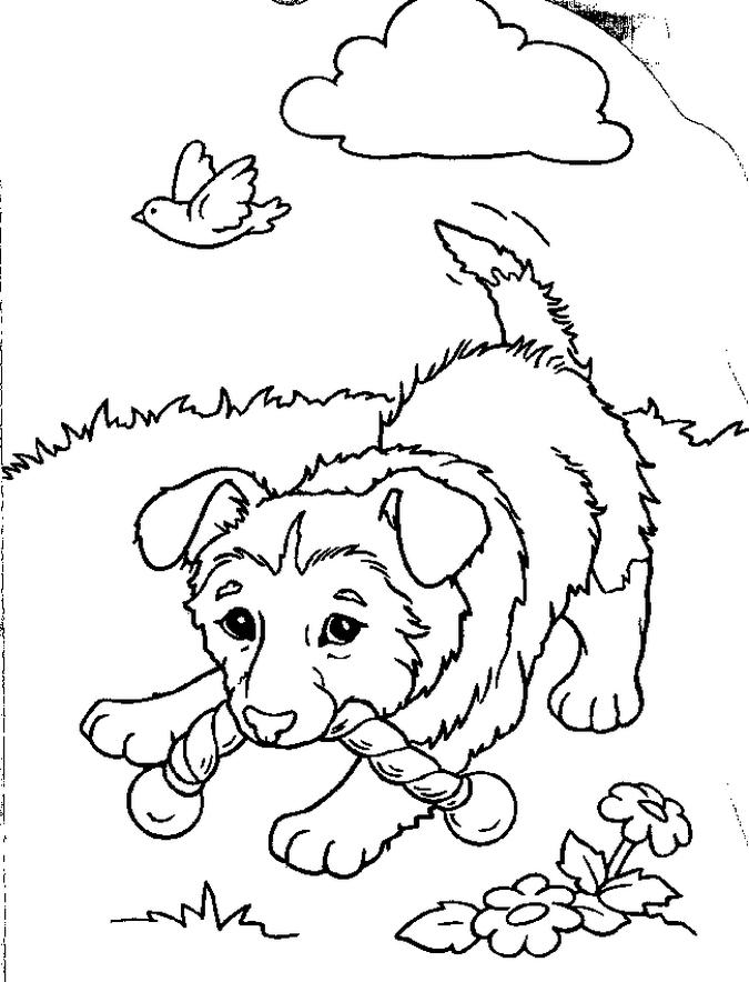 Puppy Coloring in Pages 12
