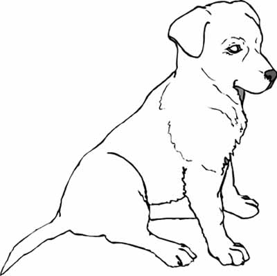 Puppy Coloring in Pages 2