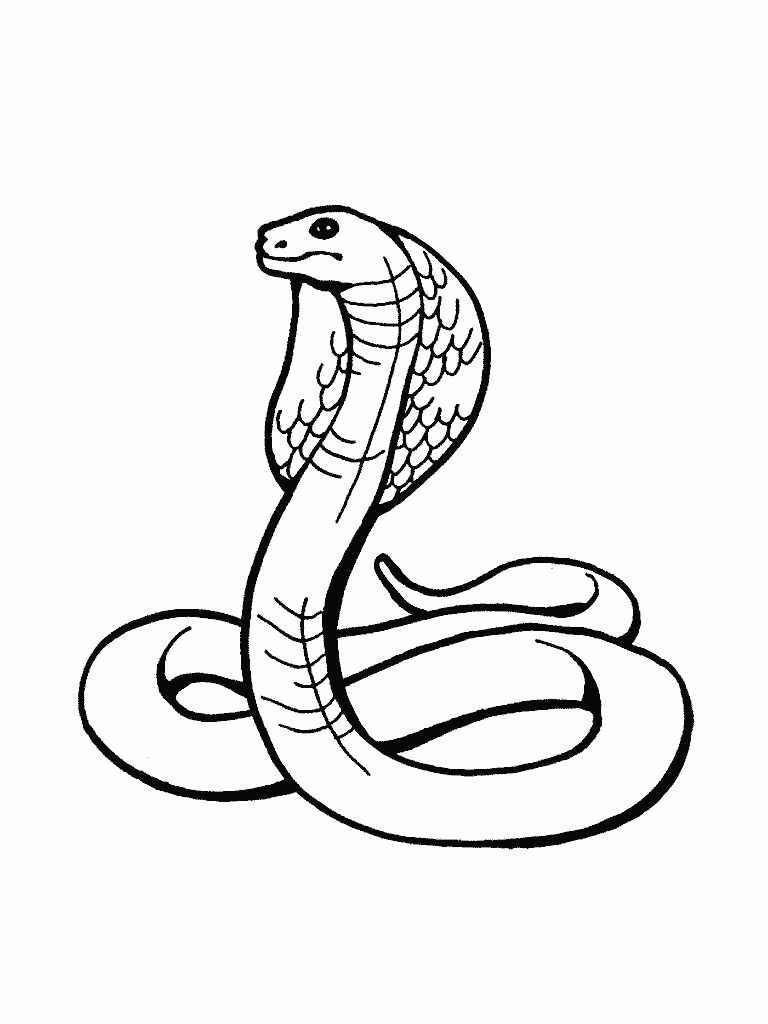 Snake Coloring in Pages 12