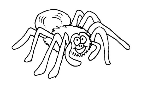 Spider Coloring in Pages 4