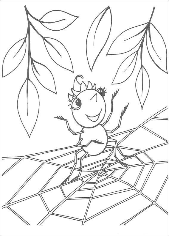 Spider Coloring in Pages 6