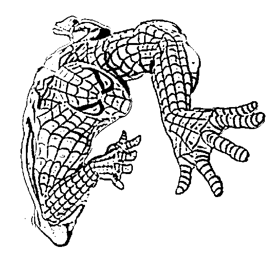 Spiderman Coloring in Pages 4