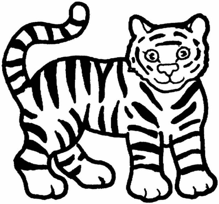 Tiger Coloring in Pages 7