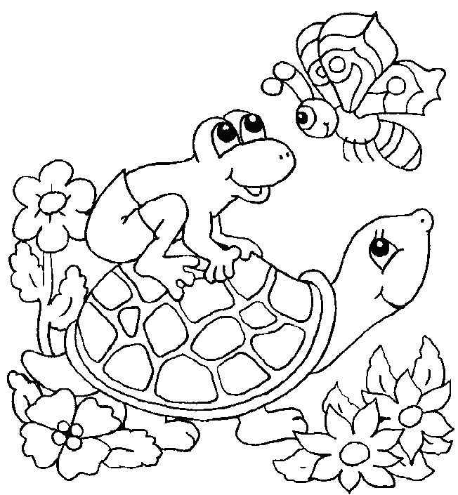Turtle Coloring in Pages 11