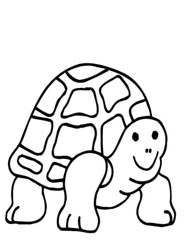 Turtle Coloring in Pages 12