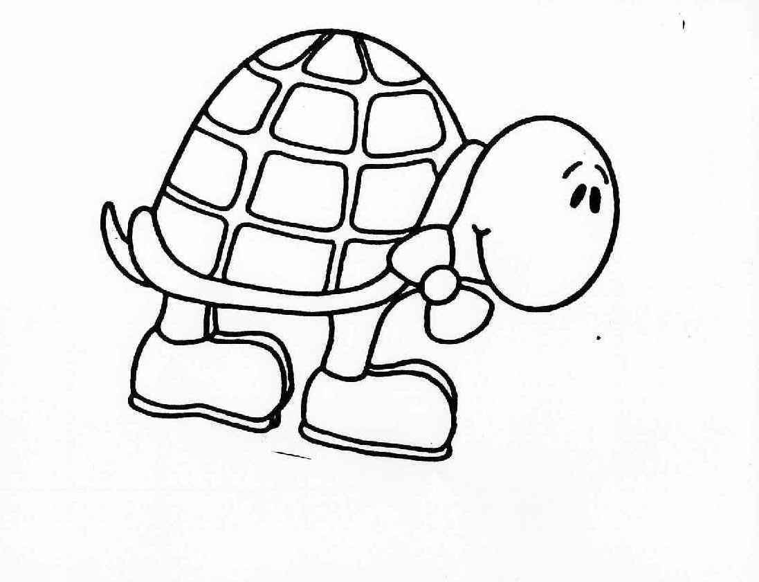 Turtle Coloring in Pages 2