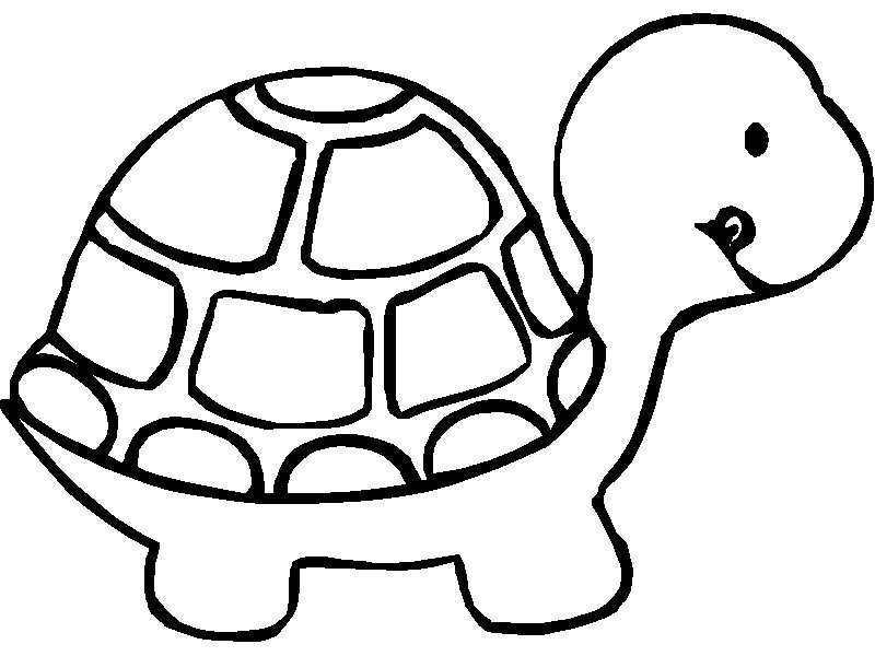 Turtle Coloring in Pages 3
