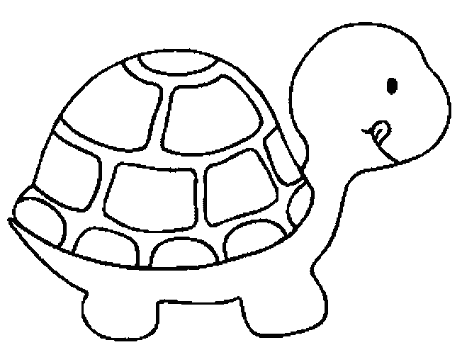 Turtle Coloring in Pages 5